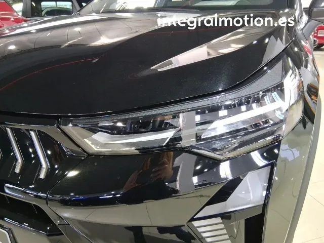 Mitsubishi Grandis